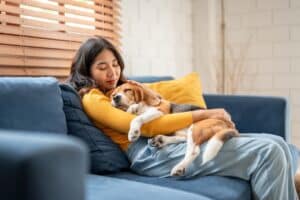 Who gets the dog in Divorce?